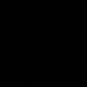 Meet your Posher, Toniann